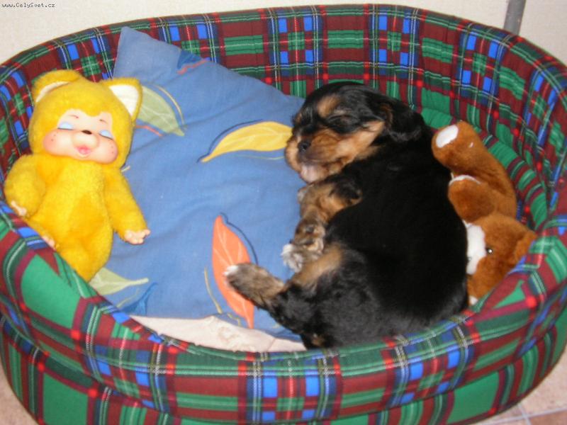 Foto: ODPO�INEK=))