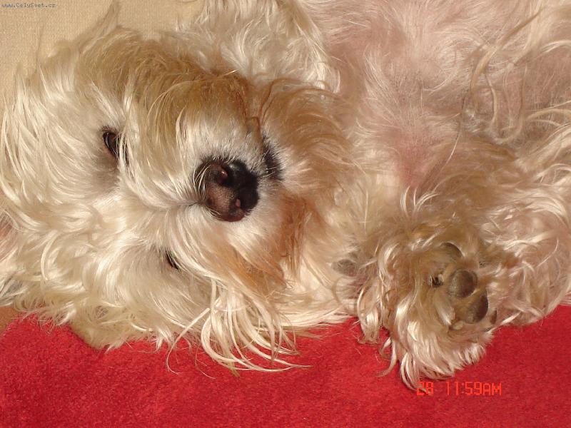 Foto: Alex��ek-Tak takhle haj�m....