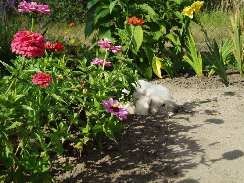 Foto: Odpoledn� siesta