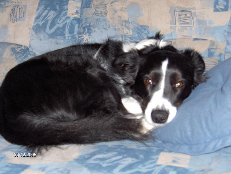 Foto: Tina-Pro�pak m� bud�???