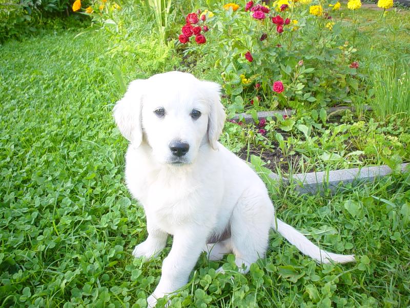 Foto: Bad�k-Bad�k,kdy� byl �t�n�