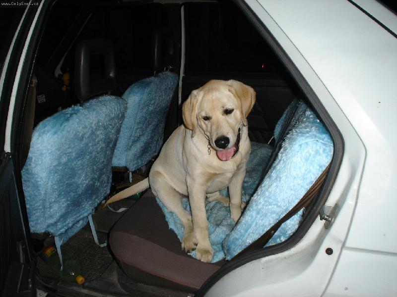 Foto: No nejsem roztomil�?