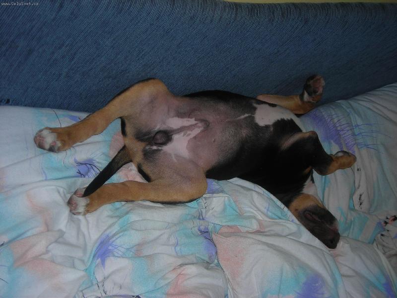 Foto: Reg� TK spink�