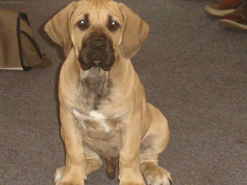 Foto: cegante-to jsem ja