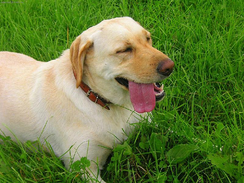 Foto: Spokojen� l�to