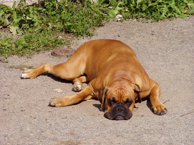 Foto: Na�e Baru�ka