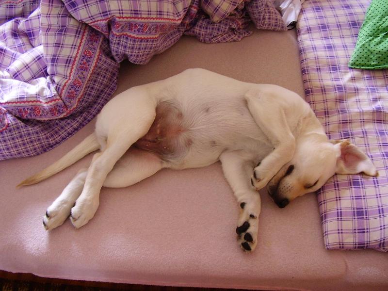 Foto: Odpoledn� siesta