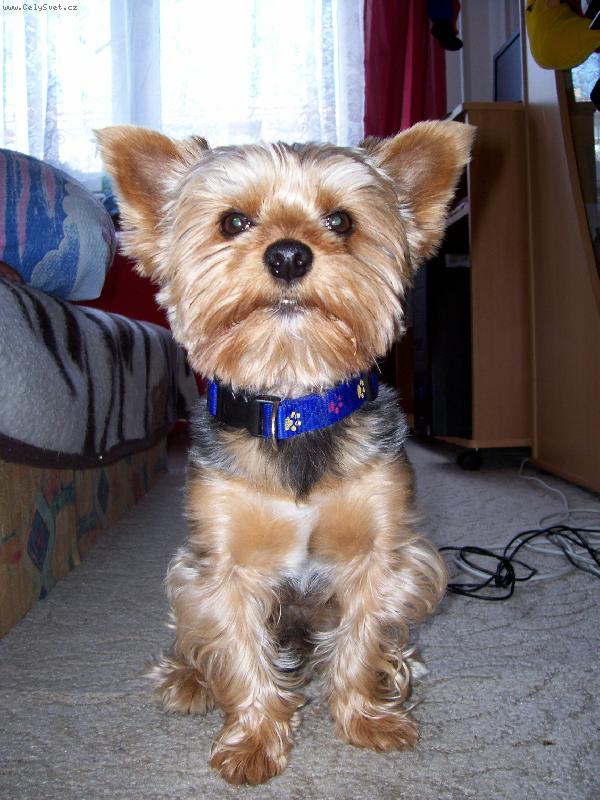 Foto: Tom�m ryp��ek nahoru,co?