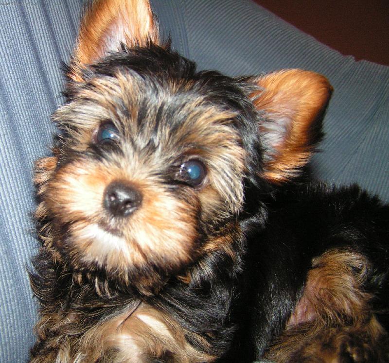 Foto: Jessinka-Uhran�iv� pohled