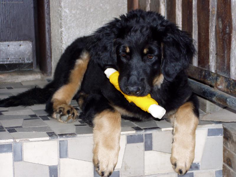 Foto: Neru�it, j�m.-Barunka.