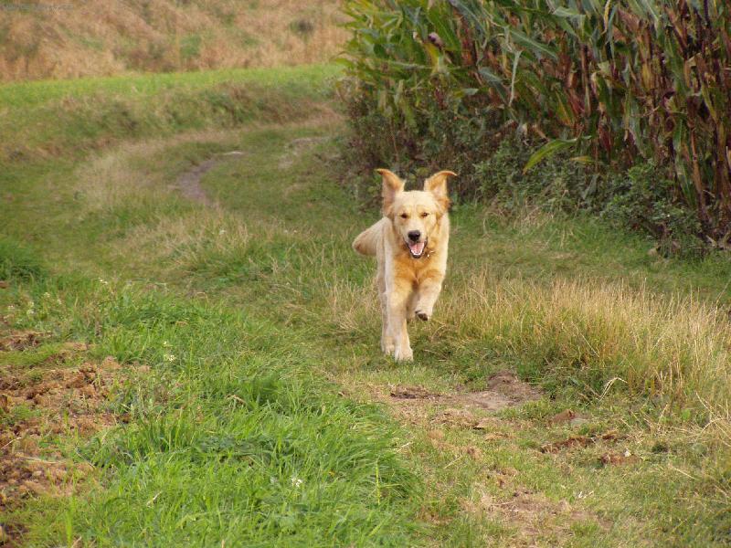 Foto: u� let���m