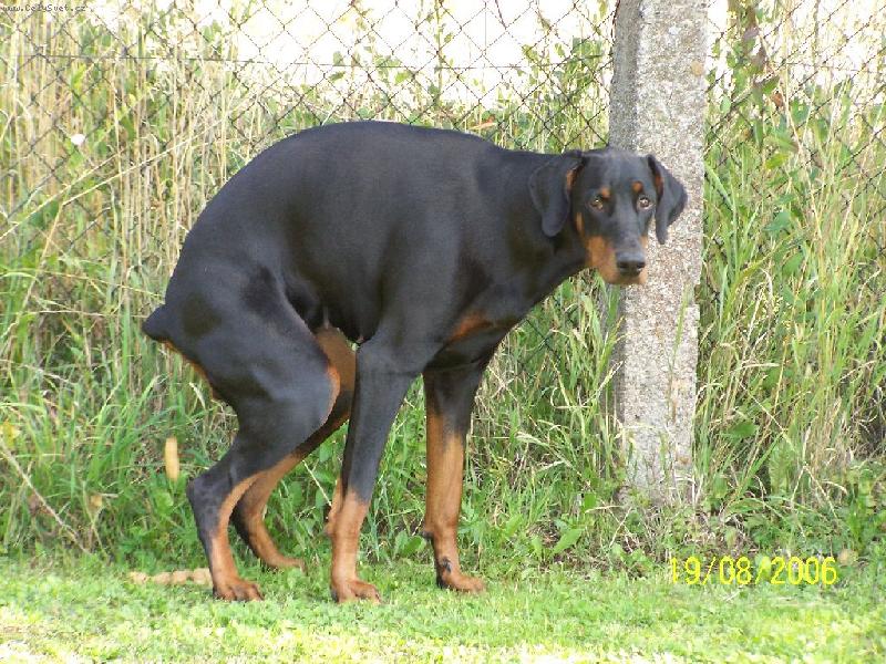 Foto: Corinka-Ani te� nem�m sv� soukrom�...