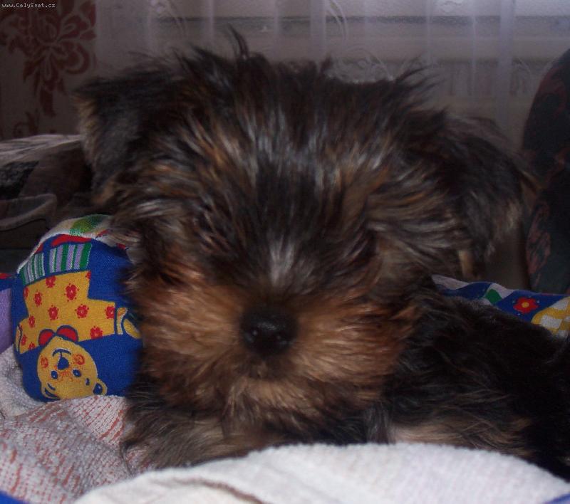 Foto: Tom�k-�pln� miminko