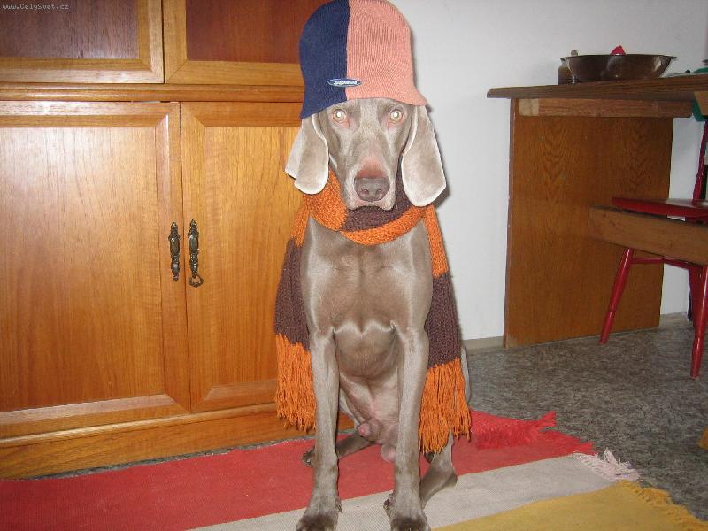 Foto: a m��eme vyrazit.....