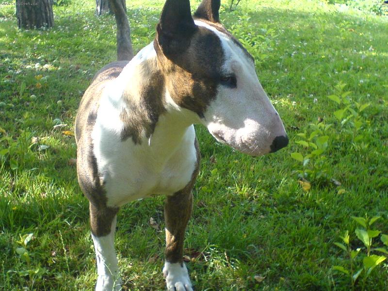 Foto: N� mil��ek.