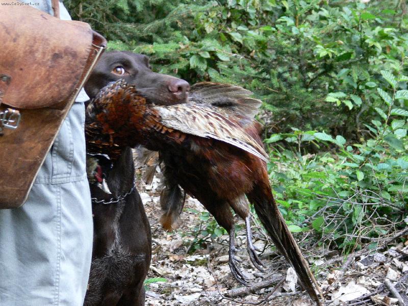 Foto: lesn� zkou�ky-aport