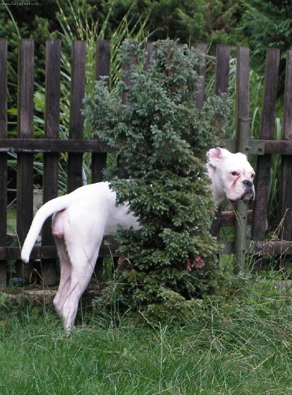 Foto: b�l� ��bel