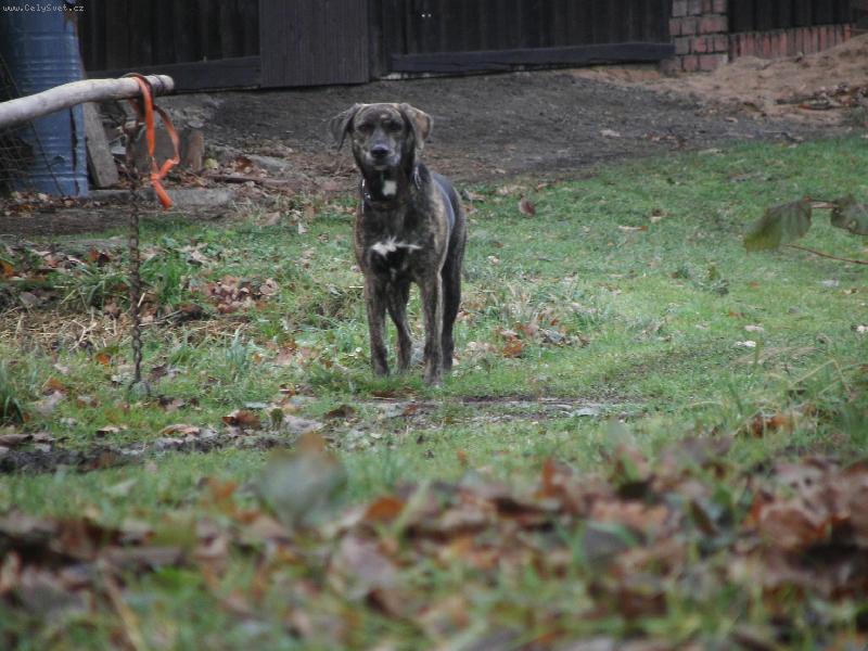 Foto: Britus doma-Brituska