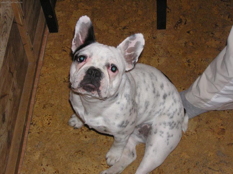 Foto: r��enka-m�j mil��ek