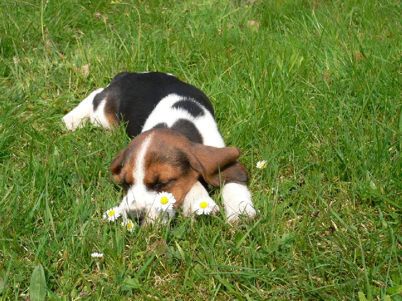 Foto: V travi�ce...!!