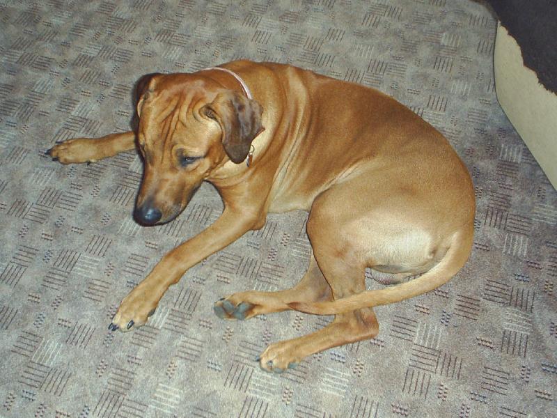 Foto: Ax��ek-Kouk�m, kouk�m, ale nic nevid�m