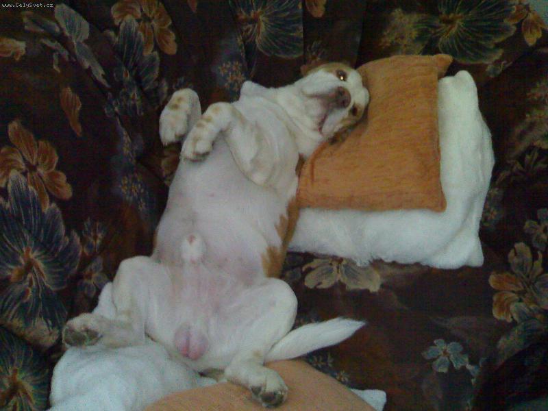 Foto: sp�c� Drejk