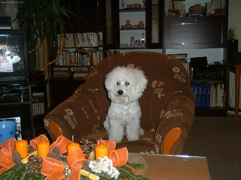 Foto: obl�ben� m�sto