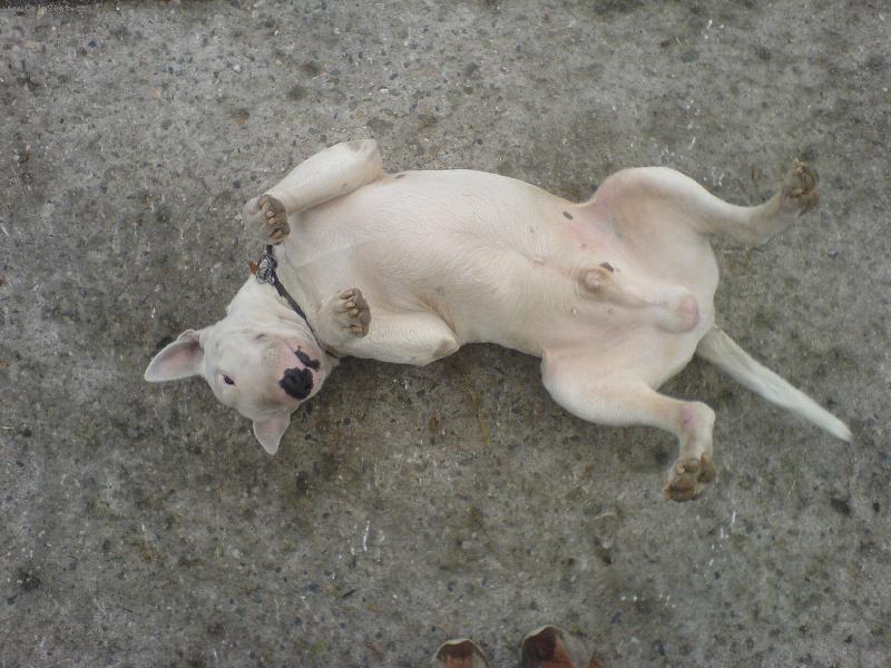 Foto: podrbejm�....na b��ku