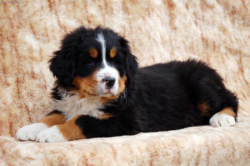 Foto: Mal� �t���tko