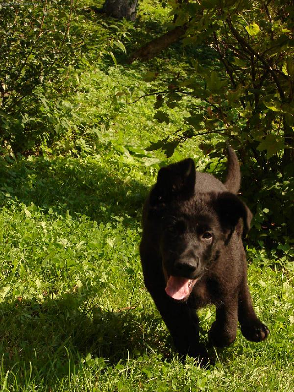 Foto: Dag-m�j nejlep�� p��tel...