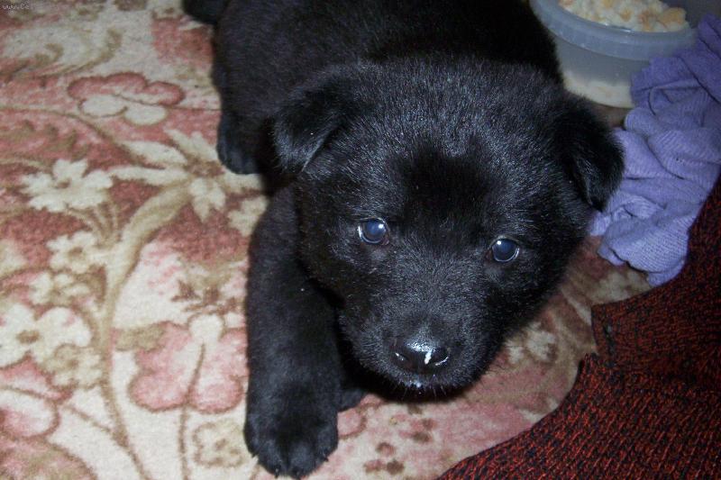 Foto: roztomil� betynka