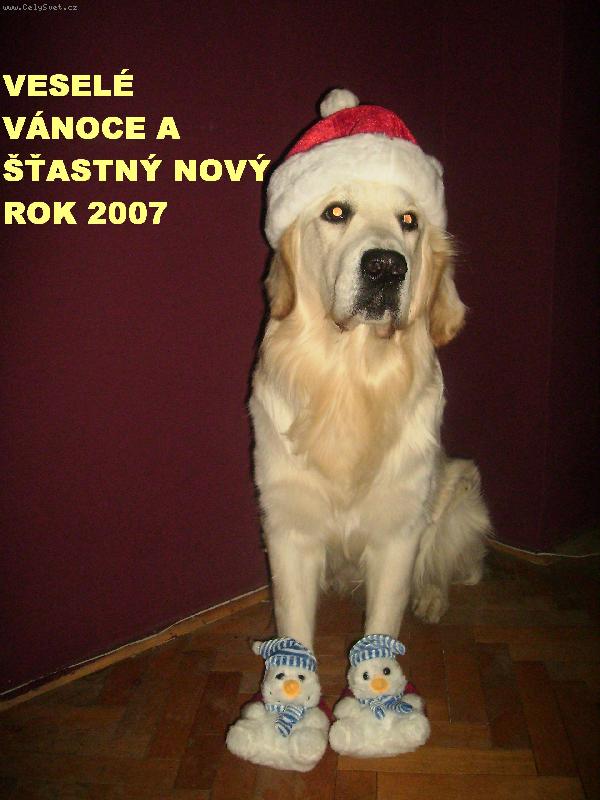 Foto: vesel� v�noce