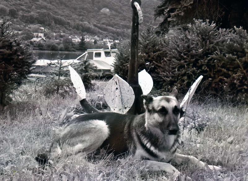 Foto: Hl�da�ka polab�