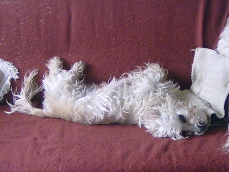 Foto: To je pov�len��ko !