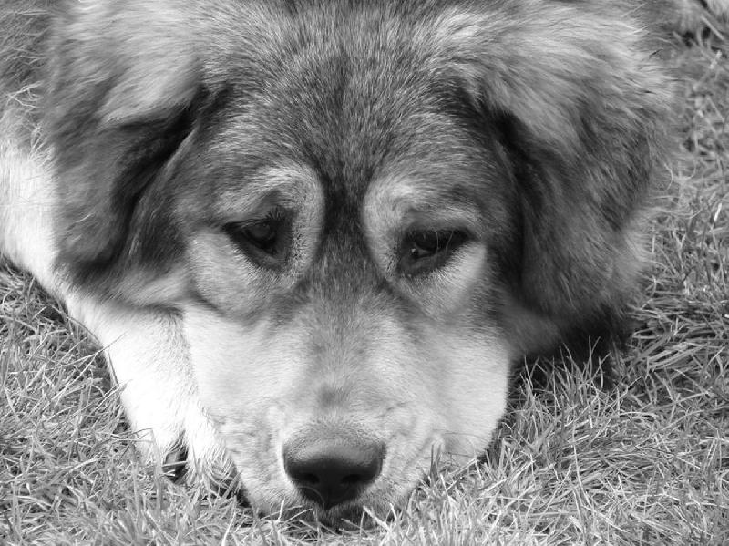 Foto: ...p�em��l�m