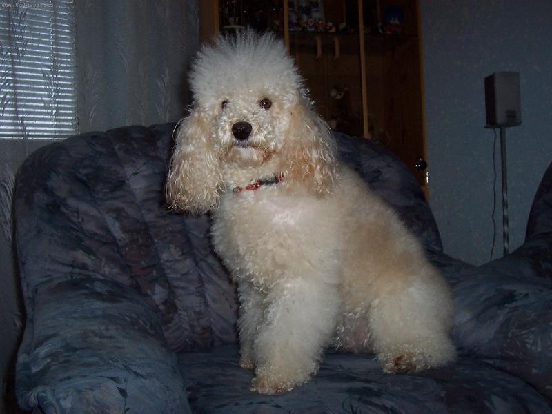 Foto: Pudl�k Dixinka-Modelka