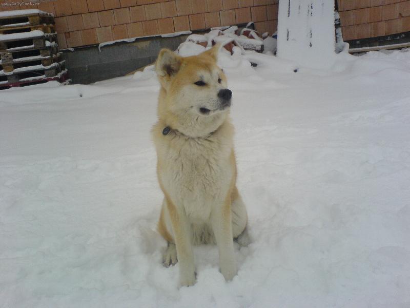 Foto: Uz je co hl�dat!