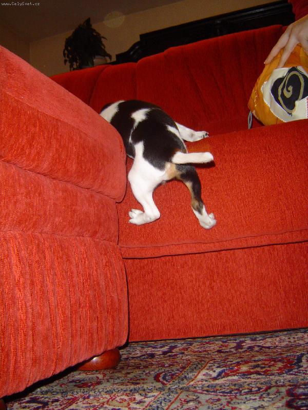 Foto: Abby-U� lezu