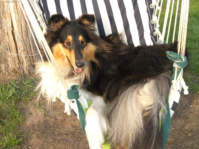 Foto: Ulvar black Vermiko-L�TO 2006