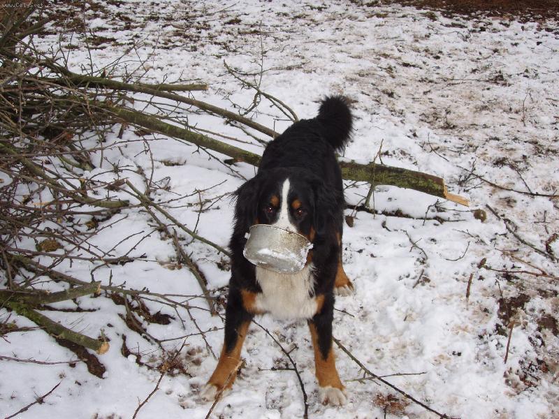 Foto: D� mi n�co dobr�ho???