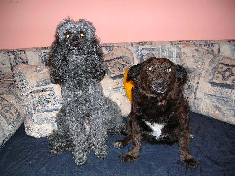 Foto: RAFANI... :-D-Rony a Mi�utka