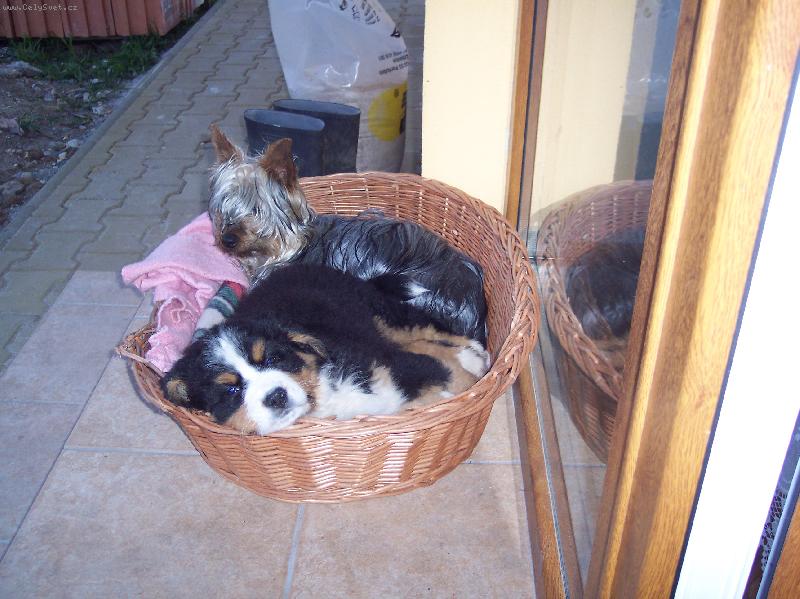 Foto: Kellynkaa:))Jerryy