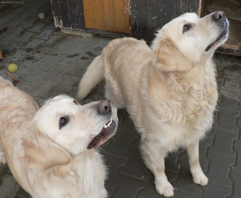 Foto: Eminka s Dane�kem  - na�i mil��ci