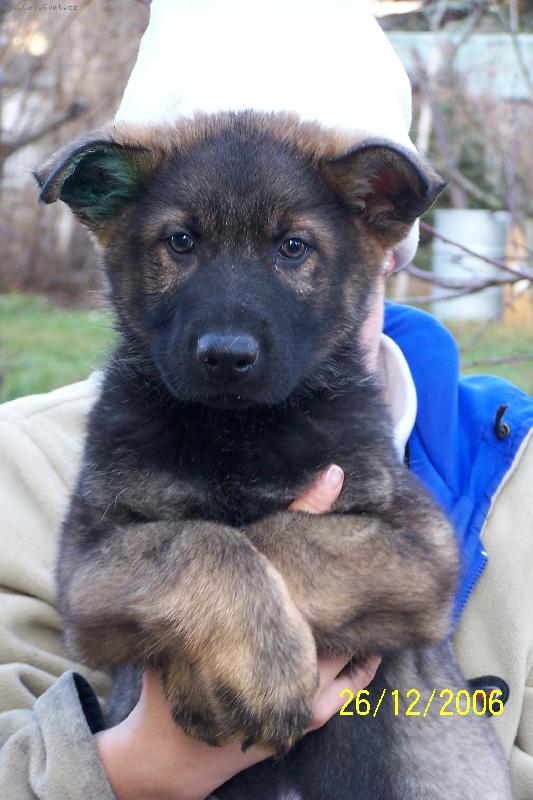 Foto: M�j mila�ek