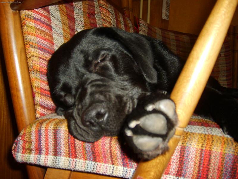 Foto: Nechr�peme...