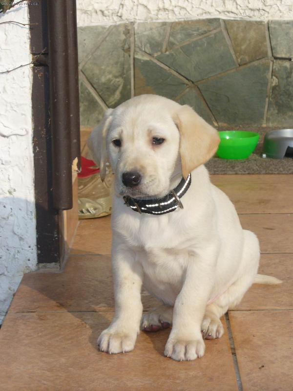 Foto: Poprv� u nov�ch p�ni�k����.......-RON