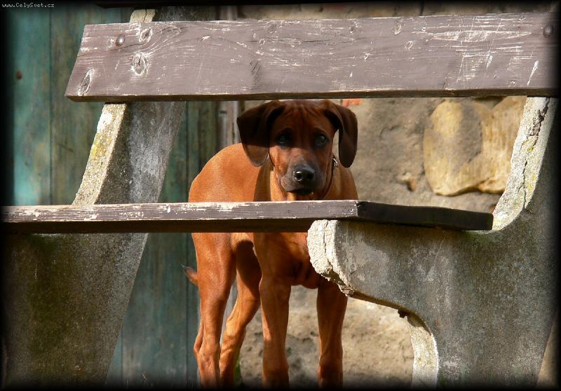 Foto: Schov�van� . . .