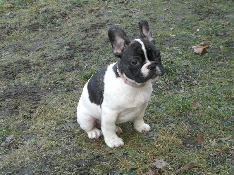 Foto: na�e zlat��ko-Robbie