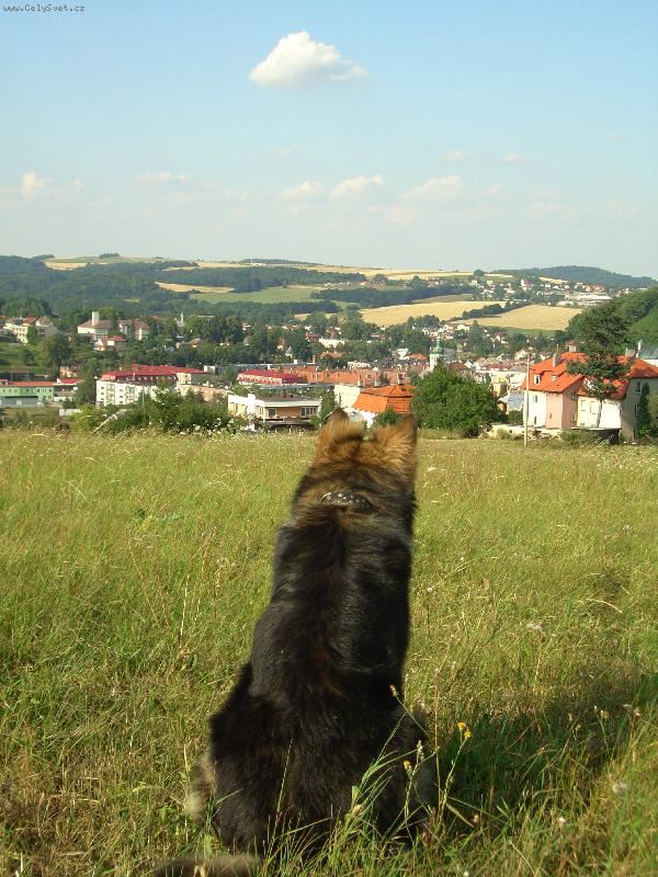 Foto: pohled na m�sto