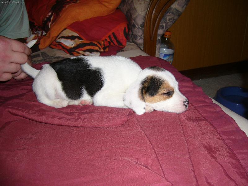 Foto: �t�n�-neru�it, pros�m!!!!!!